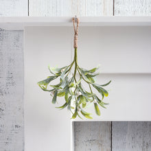 Load image into Gallery viewer, Mistletoe Cluster Tied With Jute Twine