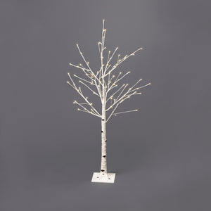 White Birch Small Tree