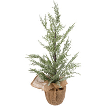 Load image into Gallery viewer, Potted Cedar Tree