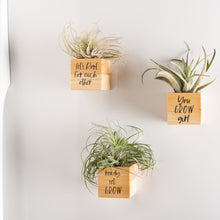 Load image into Gallery viewer, You Grow Planter Magnet Set