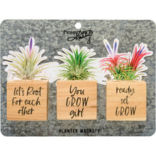 Load image into Gallery viewer, You Grow Planter Magnet Set