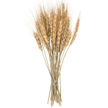 Load image into Gallery viewer, Natural Wheat Bundle Bouquet