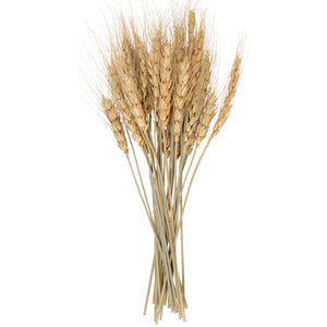 Natural Wheat Bundle Bouquet
