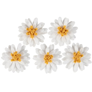 White Daisy Flower Magnet Set