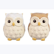 Load image into Gallery viewer, Owl Salt and Pepper Shaker Set