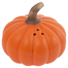 Load image into Gallery viewer, Pumpkin Gourd Salt and Pepper Shakers