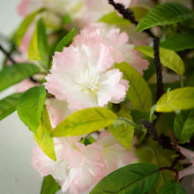 Load image into Gallery viewer, Apple Blossom Accent Candle Ring