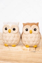 Load image into Gallery viewer, Owl Salt and Pepper Shaker Set