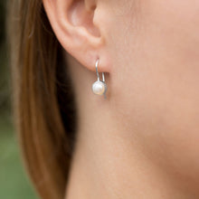 Load image into Gallery viewer, White Cultured Freshwater Pearl Earrings on Euro Wire - SoMag2
