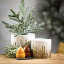Load image into Gallery viewer, Scented Acorn Votive Candle Set - The Southern Magnolia Too
