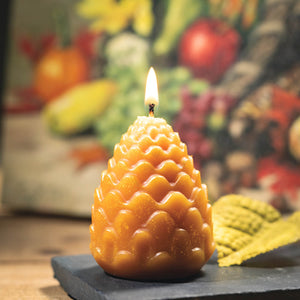 Frosted Pinecone Scented Wax Candle - The Southern Magnolia Too