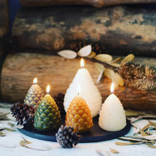 Load image into Gallery viewer, Frosted Pinecone Scented Wax Candle - The Southern Magnolia Too